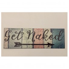 Bathroom Get Naked Sign Room Rustic Wall Plaque or Hanging House Retro Vintage   292045981358